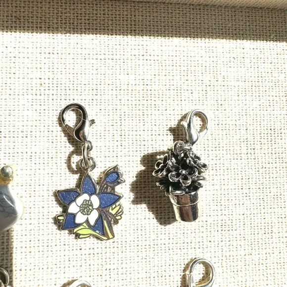 ↖️12 Charms: Bundle - Picture 6 of 8